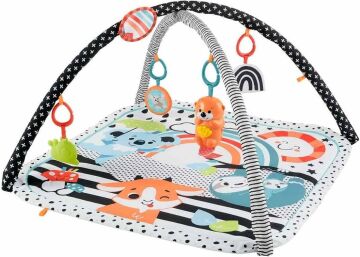 Fisher Price Neşeli Hayvanlar 3'ü 1 Arada Jimnastik Merkezi