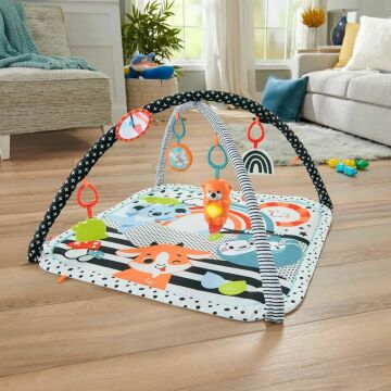 Fisher Price Neşeli Hayvanlar 3'ü 1 Arada Jimnastik Merkezi