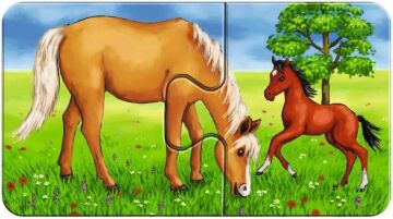 Ravensburger 9x2 Parça Yapboz Hayvanlar