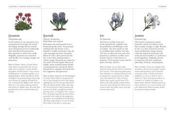 The Green Witch's Garden: Your Complete Guide to Creating and Cultivating a Magical Garden Space