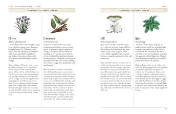 The Green Witch's Garden: Your Complete Guide to Creating and Cultivating a Magical Garden Space