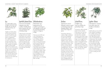 The Green Witch's Garden: Your Complete Guide to Creating and Cultivating a Magical Garden Space