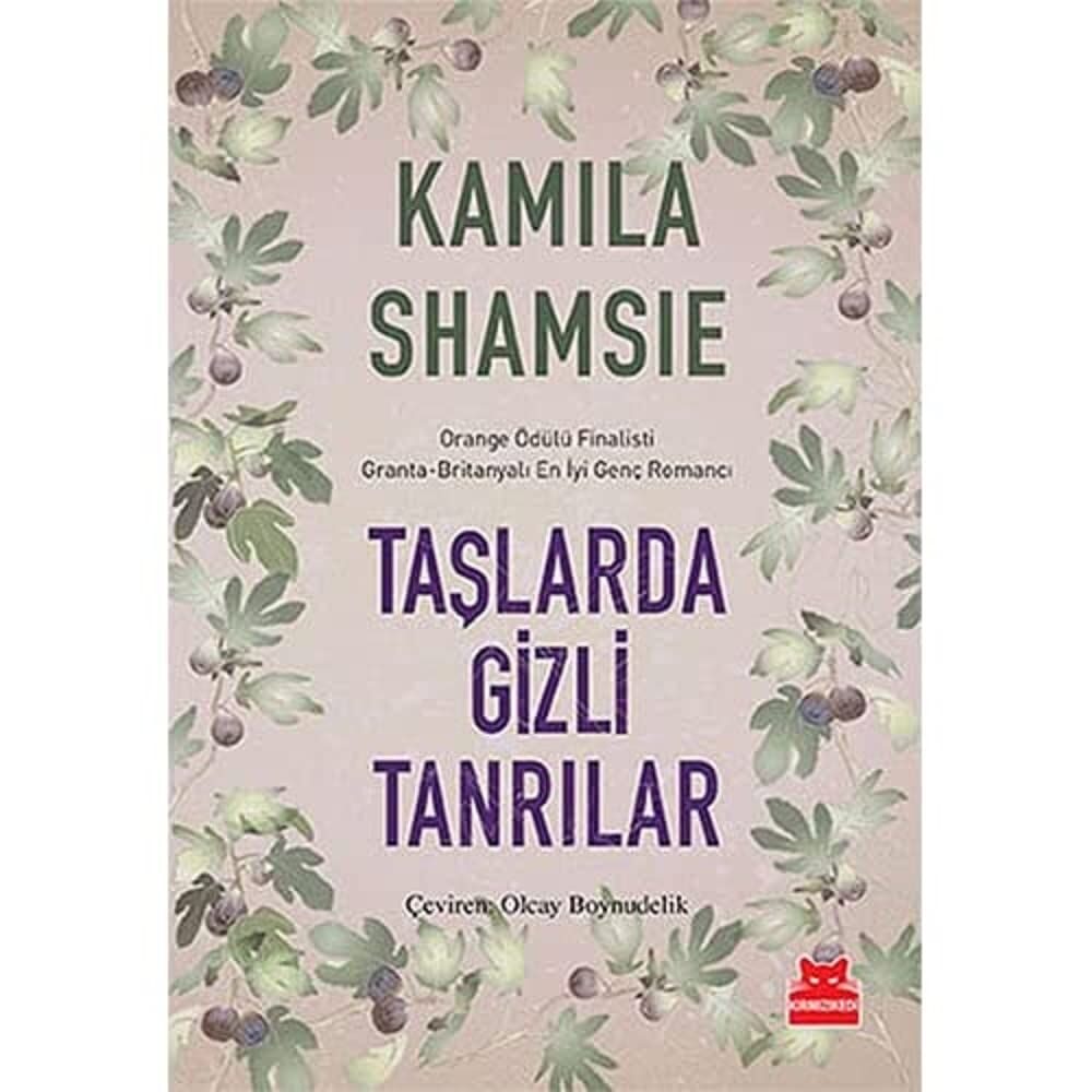 Taşlarda Gizli Tanrılar: Orange Ödülü Finalisti