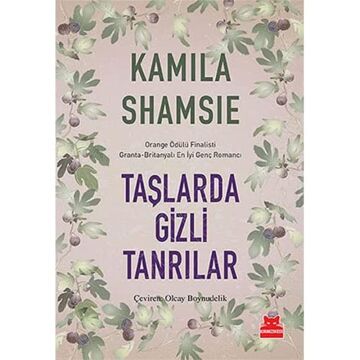 Taşlarda Gizli Tanrılar: Orange Ödülü Finalisti