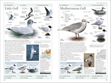 RSPB Birds of Britain and Europe: The Definitive Photographic Field Guide