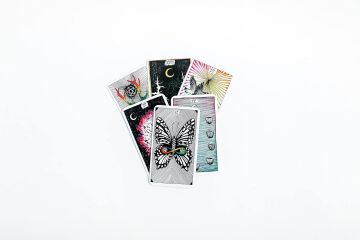 The Wild Unknown Pocket Tarot
