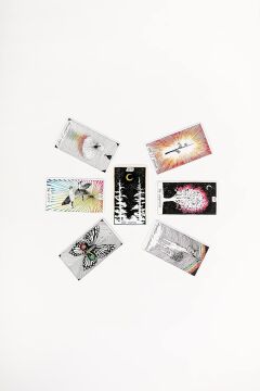 The Wild Unknown Pocket Tarot