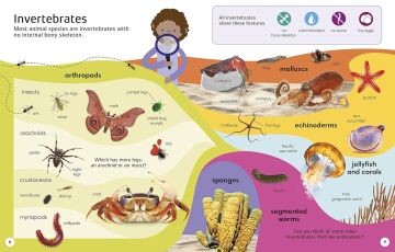 1000 Animal Words: Build Animal Vocabulary and Literacy Skills