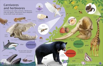 1000 Animal Words: Build Animal Vocabulary and Literacy Skills