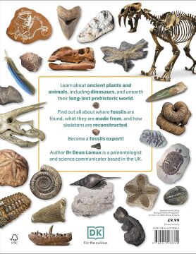 My Book of Fossils: A fact-filled guide to prehistoric life