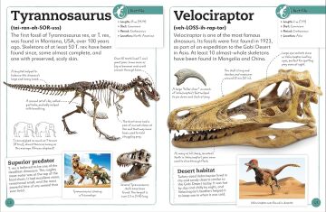 My Book of Fossils: A fact-filled guide to prehistoric life
