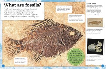 My Book of Fossils: A fact-filled guide to prehistoric life