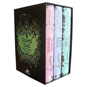 AŞK TÜM ZAMANLARIN İÇİNDEN GEÇER SETİ 3 KİTAP