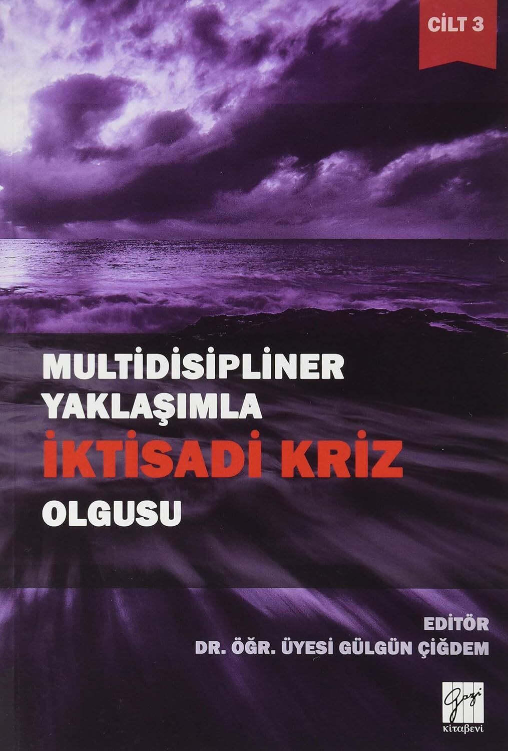 Multidisipliner Yaklaşımla İktisadi Kriz Olgusu: Cilt: 3