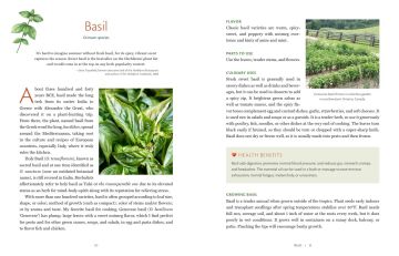 The Herbalist's Kitchen : Cooking and Healing with Herbs