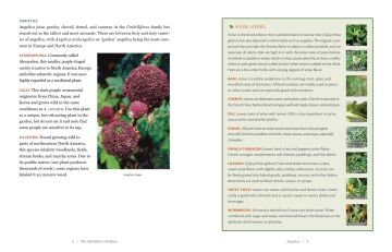 The Herbalist's Kitchen : Cooking and Healing with Herbs