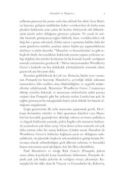Para Vatan: Neden Dünyayı Hırsızlar ve Dolandırıcılar Yönetiyor ve Onlardan Nasıl Geri Alırız