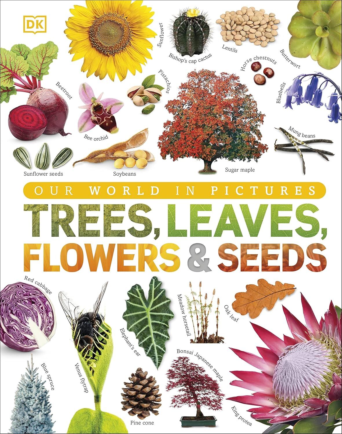 Trees, Leaves, Flowers & Seeds: A visual encyclopedia of the plant kingdom