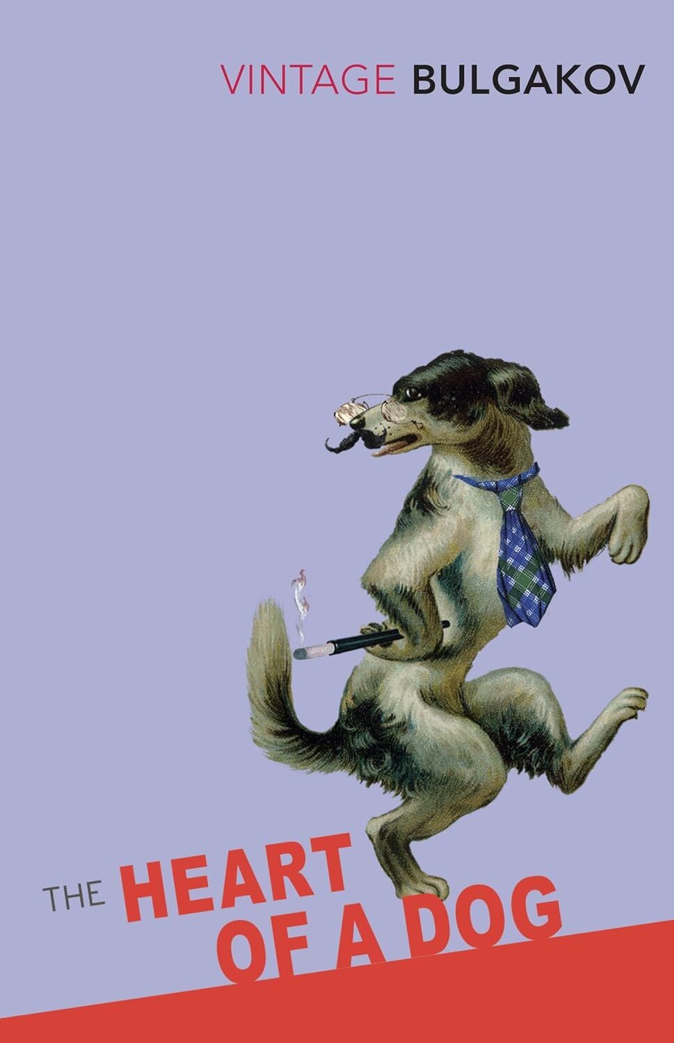 The Heart Of A Dog (Kapak Değişebilir)