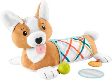 Fisher-Price 3'ü 1 Arada Köpekçik Uzanma Yastığı, HJW10