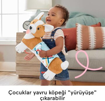 Fisher-Price 3'ü 1 Arada Köpekçik Uzanma Yastığı, HJW10