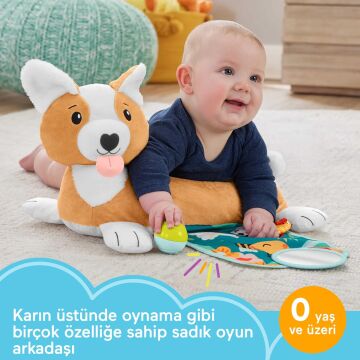 Fisher-Price 3'ü 1 Arada Köpekçik Uzanma Yastığı, HJW10