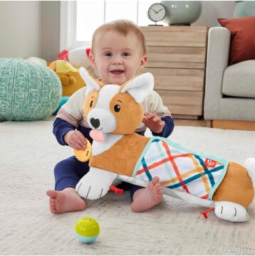 Fisher-Price 3'ü 1 Arada Köpekçik Uzanma Yastığı, HJW10