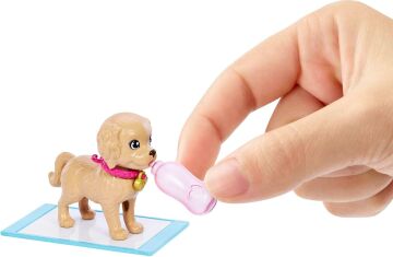 Barbie ve Köpekçikleri Oyun Seti, 3 yaş ve üzeri, HKD86