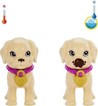 Barbie ve Köpekçikleri Oyun Seti, 3 yaş ve üzeri, HKD86