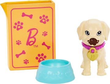Barbie ve Köpekçikleri Oyun Seti, 3 yaş ve üzeri, HKD86
