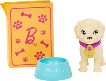 Barbie ve Köpekçikleri Oyun Seti, 3 yaş ve üzeri, HKD86