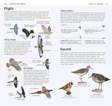RSPB What's that Bird?: The Simplest ID Guide Ever