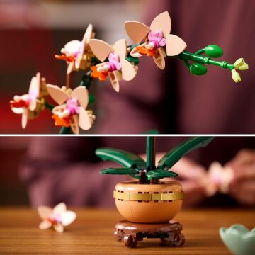 LEGO Botanicals Mini Orkide 10343 – Açık Renkli Terakota Saksı ve Ahşap Efektli Kaide İçeren Yetişkin Kadın ve Erkekler için Dekoratif Çiçek Yapım Seti, Ev ve Ofis Dekorasyonu Hediye Fikri (274 Parça)