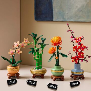 LEGO Botanicals Mini Orkide 10343 – Açık Renkli Terakota Saksı ve Ahşap Efektli Kaide İçeren Yetişkin Kadın ve Erkekler için Dekoratif Çiçek Yapım Seti, Ev ve Ofis Dekorasyonu Hediye Fikri (274 Parça)