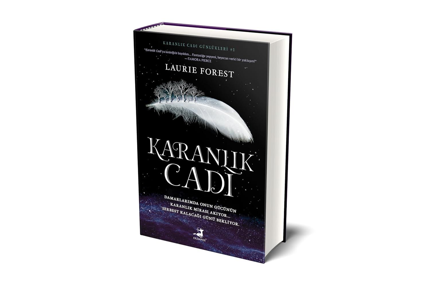Karanlık Cadı (Ciltli)