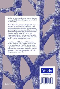 Kördüğüm Evrim Ağacı