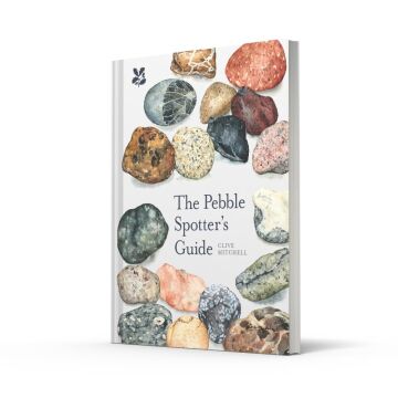 The Pebble Spotter's Guide