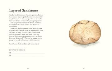 The Pebble Spotter's Guide