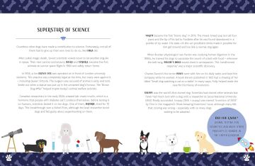 Rebel Dogs! Heroic Tales of Trusty Hounds