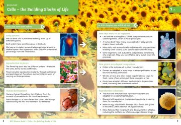 Student Book 1