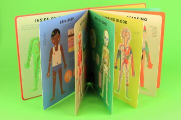 Alice, H: Body Book