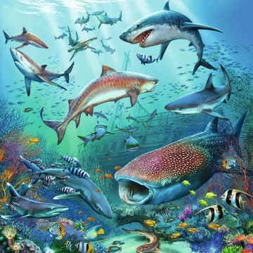 Ravensburger 51496 3x49p Puz Okyanus Hayvanları, Çok Renkli
