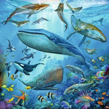 Ravensburger 51496 3x49p Puz Okyanus Hayvanları, Çok Renkli