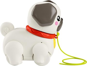 Fisher-Price Minik Dostumla Yürüyüş, Oyuncak