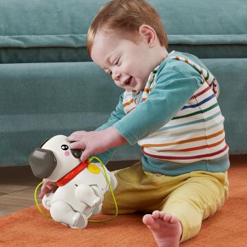 Fisher-Price Minik Dostumla Yürüyüş, Oyuncak