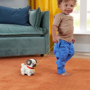 Fisher-Price Minik Dostumla Yürüyüş, Oyuncak