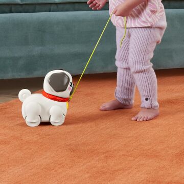 Fisher-Price Minik Dostumla Yürüyüş, Oyuncak