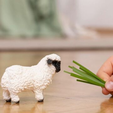 SCHLEICH Siyah Burunlu Koyun Oyuncak