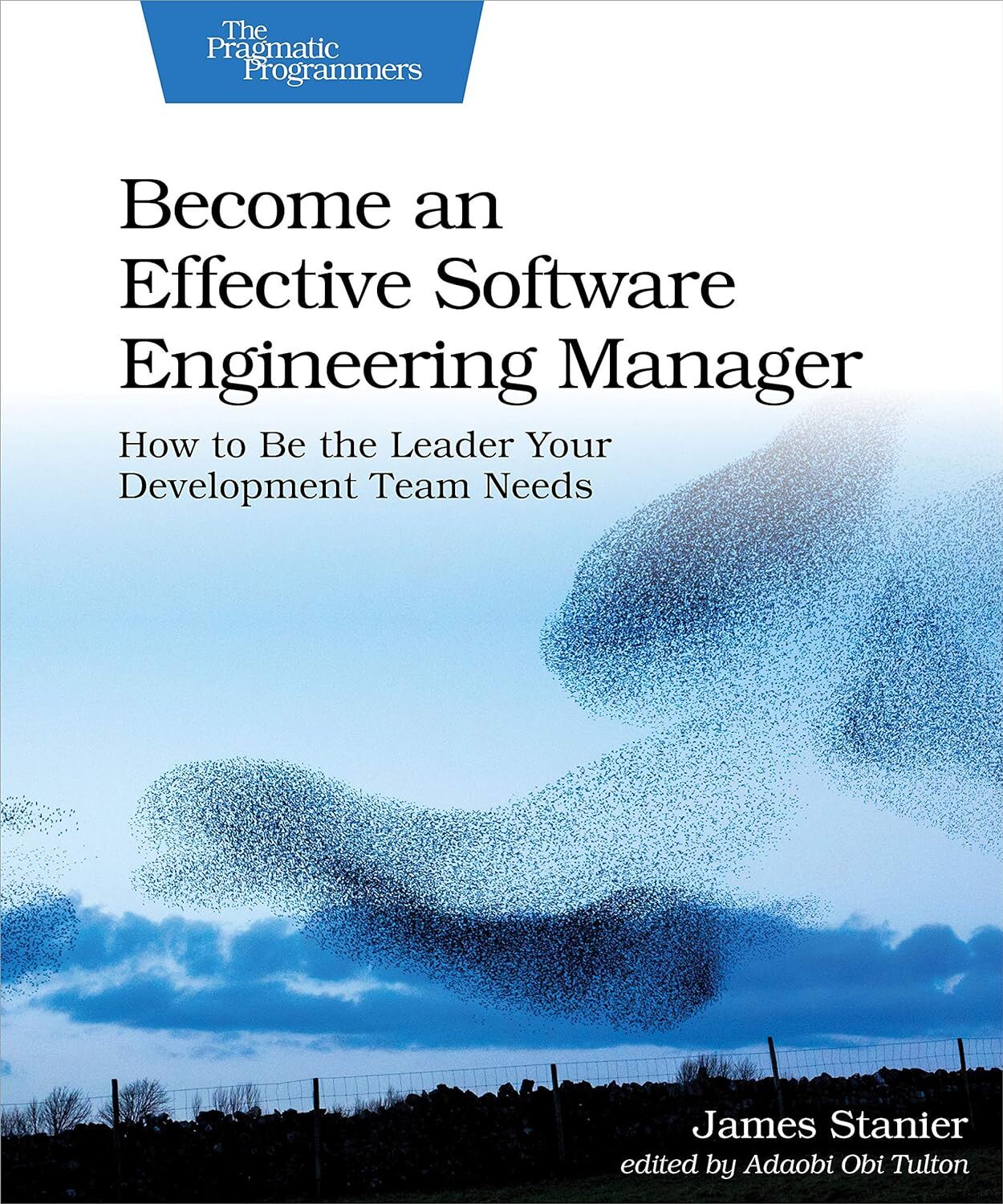 Become an Effective Software Engineering Manager: How to Be the Leader Your Development Team Needs