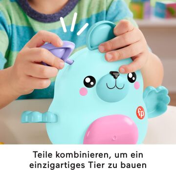 Fisher-Price Karıştır ve Eşleştir Hayvan Dostları, Oyuncak